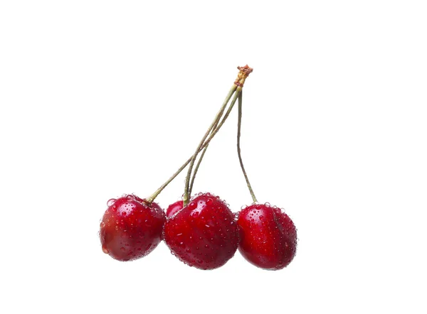 Bayas de cereza aisladas sobre fondo blanco cutou — Foto de Stock