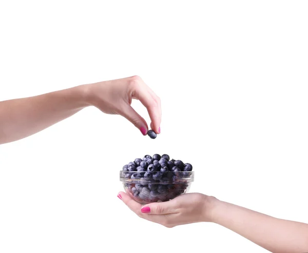 Blueberries in a glass — Stock Photo, Image