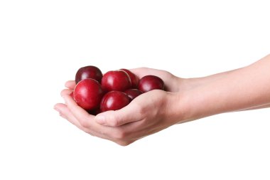 Erik beyaz izole üzerinde elinde