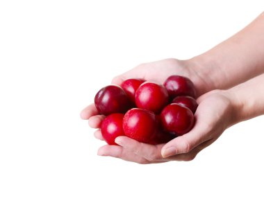 Erik beyaz izole üzerinde elinde