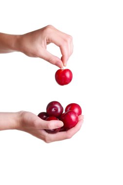 Erik beyaz izole üzerinde elinde