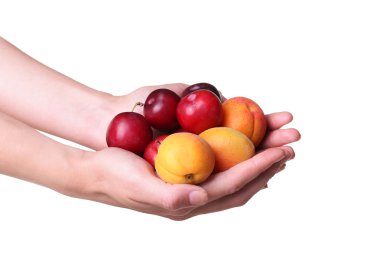 Erik ve kayısı beyaz izole üzerinde elinde