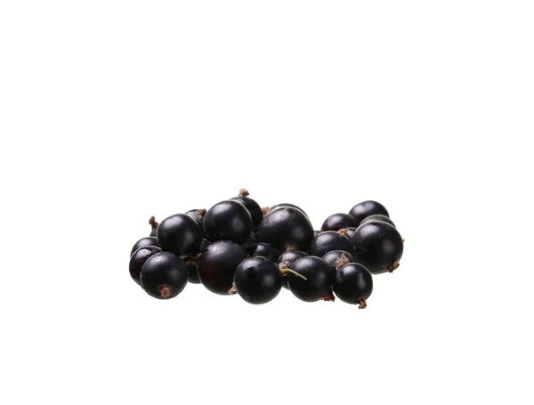 Ribes nero isolato su bianco — Foto Stock