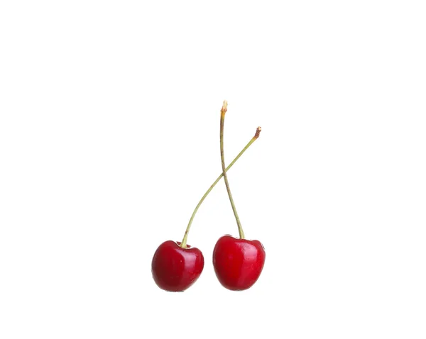 Cerises isolées sur fond blanc cutou — Photo