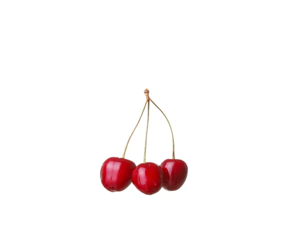 Cerises isolées sur fond blanc cutou — Photo