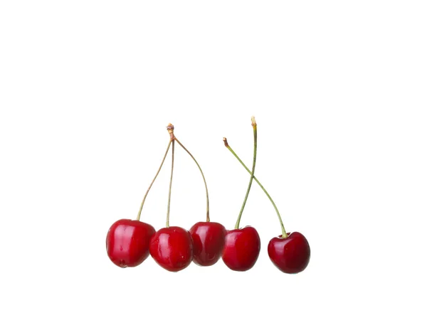 Cerises isolées sur fond blanc cutou — Photo