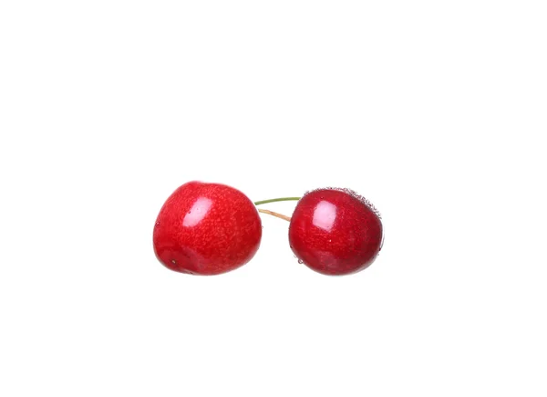 Cerises isolées sur fond blanc cutou — Photo