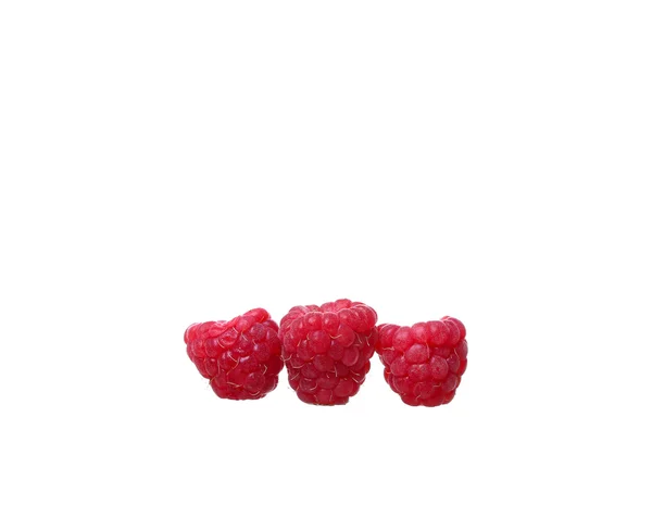 Framboesa vermelha madura no fundo branco — Fotografia de Stock