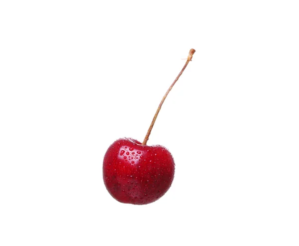 흰색 배경 cutou에 고립 된 체리 열매 — 스톡 사진