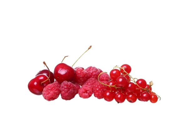 Branches of berry red currants isolated on a white background — Stock Photo, Image