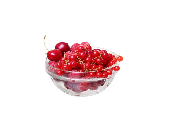 Framboises et groseilles cerises dans un verre sur blanc — Photo