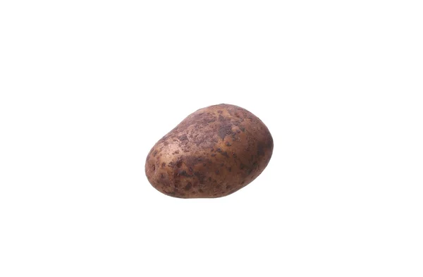 Kartoffel isoliert auf weißem Hintergrund Nahaufnahme — Stockfoto