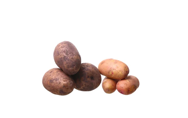 在白色背景上被隔离的土豆 — 图库照片