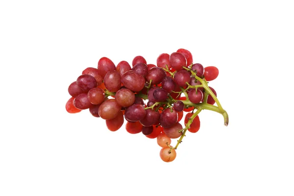 Una uva roja fresca sobre fondo blanco o aislada , — Foto de Stock