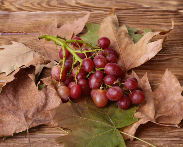 Bunch of grapes on a wooden table. — Stock Photo, Image