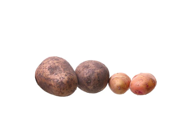 Ziemniaki izolowane na białym tle zbliżenie — Zdjęcie stockowe