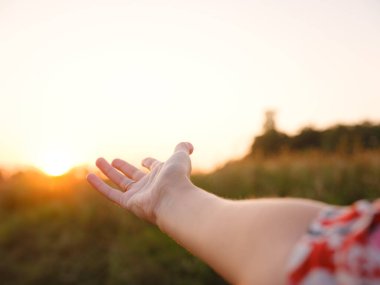 Yumuşak akşam ışığı altın tarlada yıkanırken kadının eli yavaşça uzun otların arasında hareket ederek özgürlük, doğa ve sükunet hissini yakalıyor. Sıcak günbatımı renkleri huzurlu, rüya gibi kırsal atmosfer yaratır..