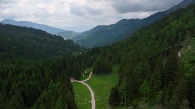 Slovenya Alpleri 'nin sinematik hava aracı görüntüleri. Orman bulutlu bir yaz günü yeşil dağ ağaçlarını, huzurlu atmosferi, doğal manzarayı ve sakin dağ manzarasını gösterir.