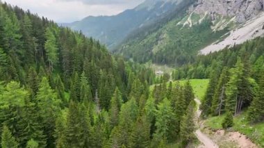 Slovenya Alpleri 'nin sinematik hava aracı görüntüleri. Orman bulutlu bir yaz günü yeşil dağ ağaçlarını, huzurlu atmosferi, doğal manzarayı ve sakin dağ manzarasını gösterir.
