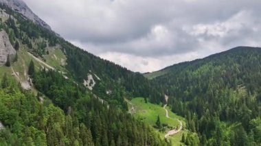Slovenya Alpleri 'nin sinematik hava aracı görüntüleri. Orman bulutlu bir yaz günü yeşil dağ ağaçlarını, huzurlu atmosferi, doğal manzarayı ve sakin dağ manzarasını gösterir.