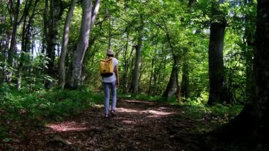 Zengin bir ormanda sırt çantasıyla yürüyüş yapan bir kadın yaz güneşli günlerinde doğal çevrenin tadını çıkarıyor. Ormanlık bir patikada yürüyor, kendini doğanın ve maceranın güzelliğine kaptırıyor..