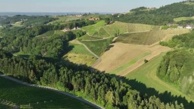 Yaz insansız hava aracı görüntüleri, Styria üzüm bağlarının gün batımında parladığını, yeşil sıralarla kaplı tepeleri, sıcak atmosferi, sakin manzarayı, şarap ülkesinin sessiz güzelliğini yakaladığını gösteriyor..
