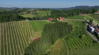 Avusturya, Styria 'da sonsuz yemyeşil üzüm bağları, teraslı yamaçlara ve uzak Alplere altın renkler dökme, zamansız şarap mirası, ılık ışıkla yıkanmış huzurlu vadiler, mükemmel seyahat
