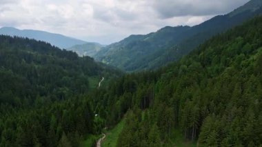 Slovenya Alpleri 'nin sinematik hava aracı görüntüleri. Orman bulutlu bir yaz günü yeşil dağ ağaçlarını, huzurlu atmosferi, doğal manzarayı ve sakin dağ manzarasını gösterir.