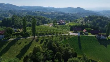 Avusturya, Styria 'da sonsuz yemyeşil üzüm bağları, teraslı yamaçlara ve uzak Alplere altın renkler dökme, zamansız şarap mirası, ılık ışıkla yıkanmış huzurlu vadiler, mükemmel seyahat