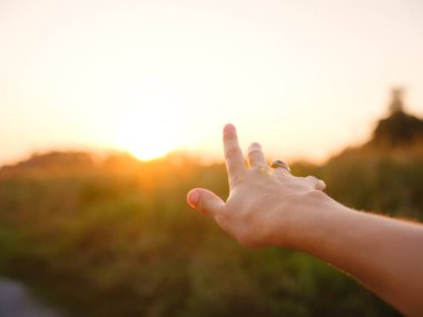 Yumuşak akşam ışığı altın tarlada yıkanırken kadının eli yavaşça uzun otların arasında hareket ederek özgürlük, doğa ve sükunet hissini yakalıyor. Sıcak günbatımı renkleri huzurlu, rüya gibi kırsal atmosfer yaratır..