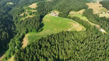 Drone manzaralı Drava nehir kenarı tepeleri yazın, Gortina köyü, nehre yakın tepelerde derin yeşil orman.