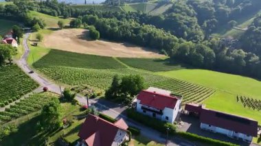 Yukardan bakınca, aile tarafından işletilen küçük şarap üreten çiftlikler çiçek açan üzüm bağları, kırsal ahırlar ve taş duvarlarla çevrili geleneksel bağların özü olan kehribar tonlarında parlıyor.