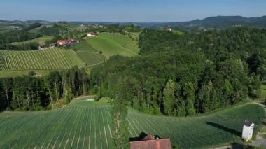 Avusturya, Styria 'da sonsuz yemyeşil üzüm bağları, teraslı yamaçlara ve uzak Alplere altın renkler dökme, zamansız şarap mirası, ılık ışıkla yıkanmış huzurlu vadiler, mükemmel seyahat