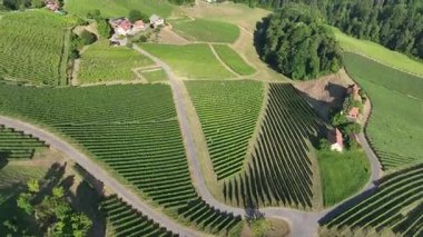 Yukardan bakınca, aile tarafından işletilen küçük şarap üreten çiftlikler çiçek açan üzüm bağları, kırsal ahırlar ve taş duvarlarla çevrili geleneksel bağların özü olan kehribar tonlarında parlıyor.