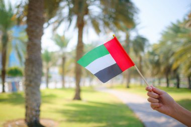 Corniche 'den Abu Dabi Parkı' na karşı küçük bir BAE bayrağı taşıyan kadın eli. Abu Dabi 'de gezinti. Birleşik Arap Emirlikleri, Orta Doğu. BAE ulusal kutlama ruhunun fotoğrafı..