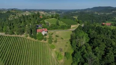 Avusturya, Styria 'da sonsuz yemyeşil üzüm bağları, teraslı yamaçlara ve uzak Alplere altın renkler dökme, zamansız şarap mirası, ılık ışıkla yıkanmış huzurlu vadiler, mükemmel seyahat