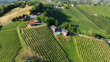 Yukardan bakınca, aile tarafından işletilen küçük şarap üreten çiftlikler çiçek açan üzüm bağları, kırsal ahırlar ve taş duvarlarla çevrili geleneksel bağların özü olan kehribar tonlarında parlıyor.