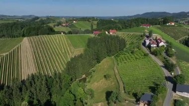 Avusturya, Styria 'da sonsuz yemyeşil üzüm bağları, teraslı yamaçlara ve uzak Alplere altın renkler dökme, zamansız şarap mirası, ılık ışıkla yıkanmış huzurlu vadiler, mükemmel seyahat