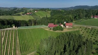 Avusturya, Styria 'da sonsuz yemyeşil üzüm bağları, teraslı yamaçlara ve uzak Alplere altın renkler dökme, zamansız şarap mirası, ılık ışıkla yıkanmış huzurlu vadiler, mükemmel seyahat