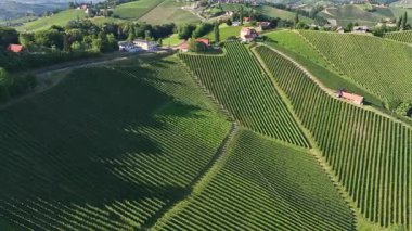 Yaz insansız hava aracı görüntüleri, Styria üzüm bağlarının gün batımında parladığını, yeşil sıralarla kaplı tepeleri, sıcak atmosferi, sakin manzarayı, şarap ülkesinin sessiz güzelliğini yakaladığını gösteriyor..