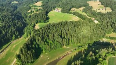 Drone manzaralı Drava nehir kenarı tepeleri yazın, Gortina köyü, nehre yakın tepelerde derin yeşil orman.