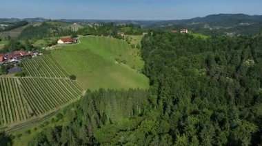 Avusturya, Styria 'da sonsuz yemyeşil üzüm bağları, teraslı yamaçlara ve uzak Alplere altın renkler dökme, zamansız şarap mirası, ılık ışıkla yıkanmış huzurlu vadiler, mükemmel seyahat