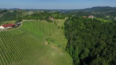 Avusturya, Styria 'da sonsuz yemyeşil üzüm bağları, teraslı yamaçlara ve uzak Alplere altın renkler dökme, zamansız şarap mirası, ılık ışıkla yıkanmış huzurlu vadiler, mükemmel seyahat