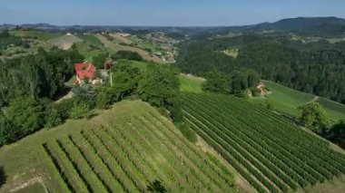 Avusturya, Styria 'da sonsuz yemyeşil üzüm bağları, teraslı yamaçlara ve uzak Alplere altın renkler dökme, zamansız şarap mirası, ılık ışıkla yıkanmış huzurlu vadiler, mükemmel seyahat