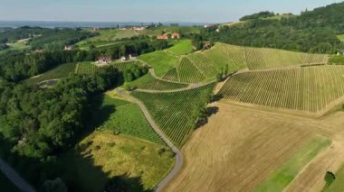 Yaz insansız hava aracı görüntüleri, Styria üzüm bağlarının gün batımında parladığını, yeşil sıralarla kaplı tepeleri, sıcak atmosferi, sakin manzarayı, şarap ülkesinin sessiz güzelliğini yakaladığını gösteriyor..