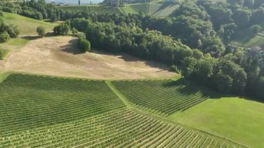 Yaz insansız hava aracı görüntüleri, Styria üzüm bağlarının gün batımında parladığını, yeşil sıralarla kaplı tepeleri, sıcak atmosferi, sakin manzarayı, şarap ülkesinin sessiz güzelliğini yakaladığını gösteriyor..