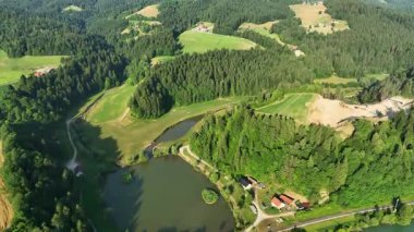 Drone manzaralı Drava nehir kenarı tepeleri yazın, Gortina köyü, nehre yakın tepelerde derin yeşil orman.