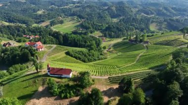 Yukardan bakınca, aile tarafından işletilen küçük şarap üreten çiftlikler çiçek açan üzüm bağları, kırsal ahırlar ve taş duvarlarla çevrili geleneksel bağların özü olan kehribar tonlarında parlıyor.