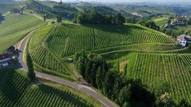 Yaz insansız hava aracı görüntüleri, Styria üzüm bağlarının gün batımında parladığını, yeşil sıralarla kaplı tepeleri, sıcak atmosferi, sakin manzarayı, şarap ülkesinin sessiz güzelliğini yakaladığını gösteriyor..