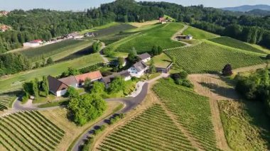 Yukardan bakınca, aile tarafından işletilen küçük şarap üreten çiftlikler çiçek açan üzüm bağları, kırsal ahırlar ve taş duvarlarla çevrili geleneksel bağların özü olan kehribar tonlarında parlıyor.